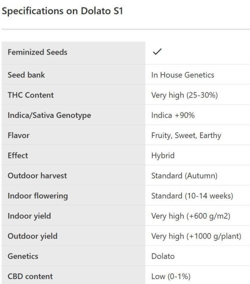 Blueberry, Orange and Dolato yum. Week 0 - Dolato S1