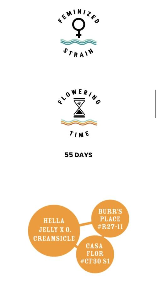 Orange Creampop (Humboldt Seed Company). Week 0 - Seems like a pretty fast grow which is another reason why I chose this one 