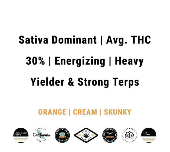 Orange Creampop (Humboldt Seed Company). Week 0 - Big yields yes please 🙌 