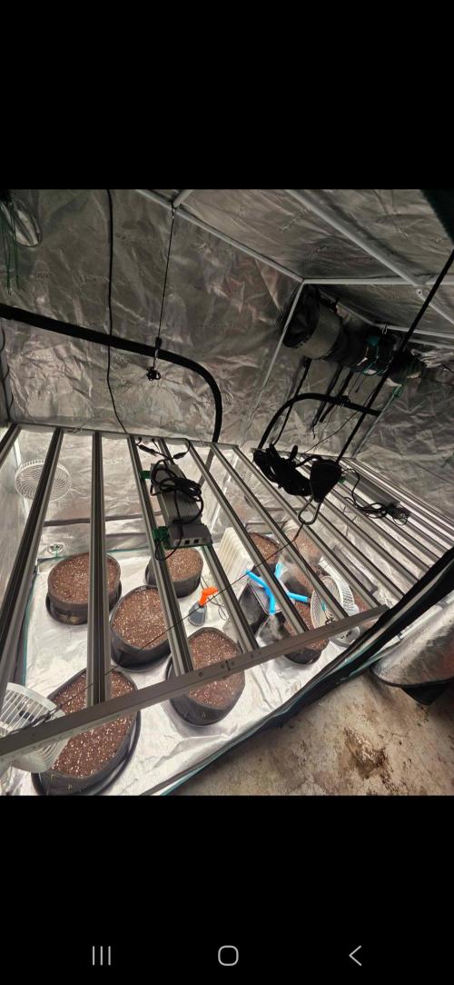 Auto fastbuds. Week 0