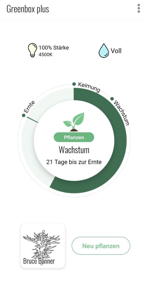 1st grow - GreenBox-. Week 7 - Timeline of the greenbox app. It will probably not be 100% acurate