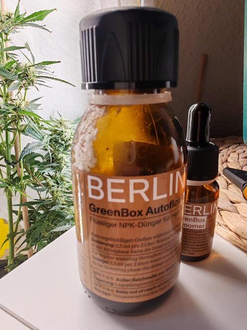 1st grow - GreenBox-. Week 4 - Real bad product... Always standing upright.... I mean look at it. 