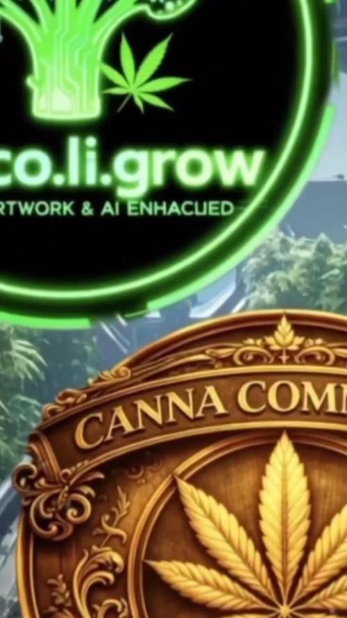 Sensi Seeds / CCG Grow Event