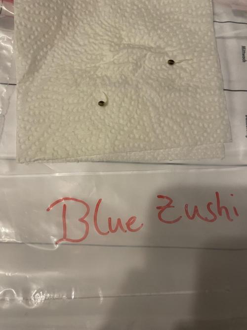 Blue Zushi x Forbidden Fruit Mixed. Week 0