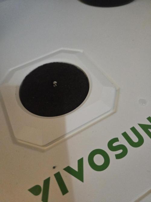 Blueberry. Week 0 - Day1 