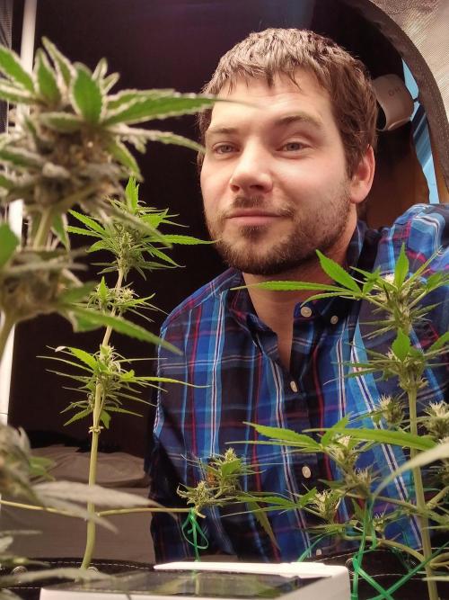 420 fastbuds. Week 9