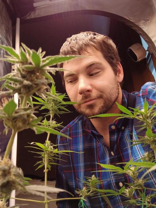 420 fastbuds. Week 9