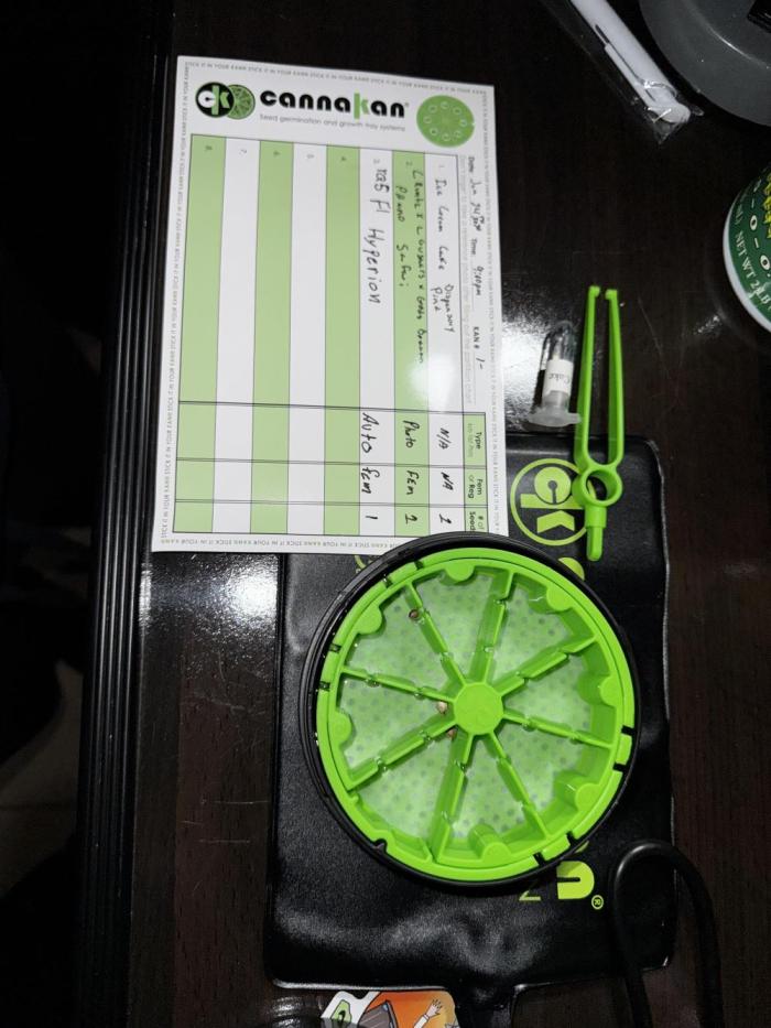 Hyperion. Week 0 - New grower just got the cannakan germination bundle along with some other seeds 