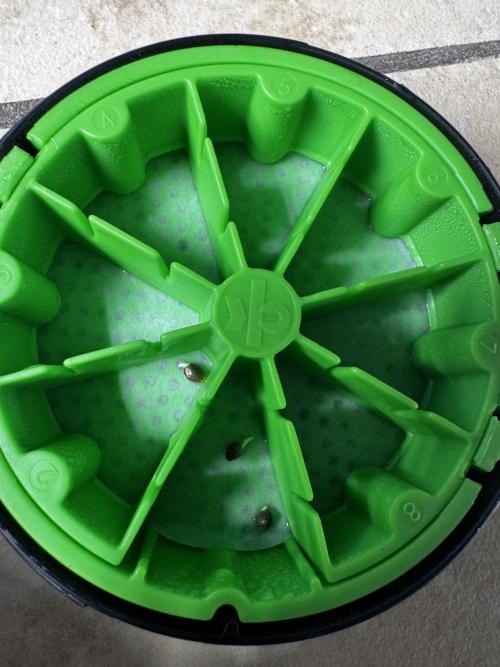 Bear candy. Week 0 - 12 hours in