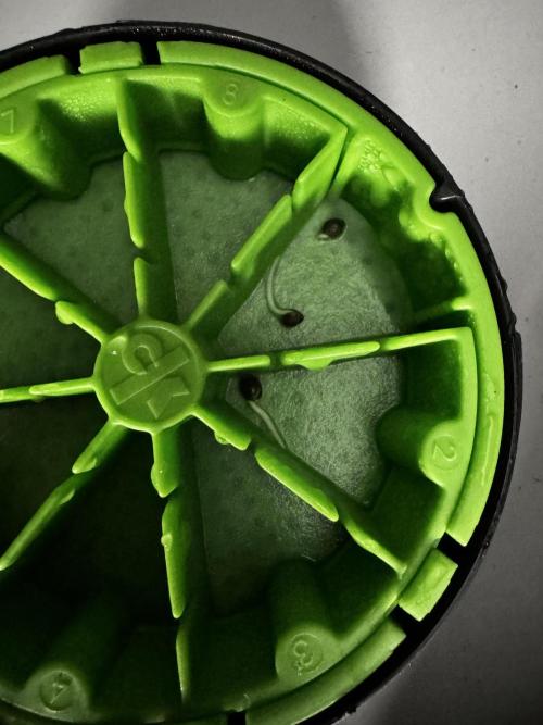 Bear candy. Week 0 - 24 hours