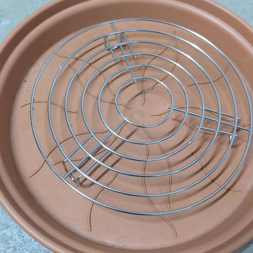 Micro-Grow: Wedding Cheescake FF. Week 0 - Drainmaster for poor people 🙂