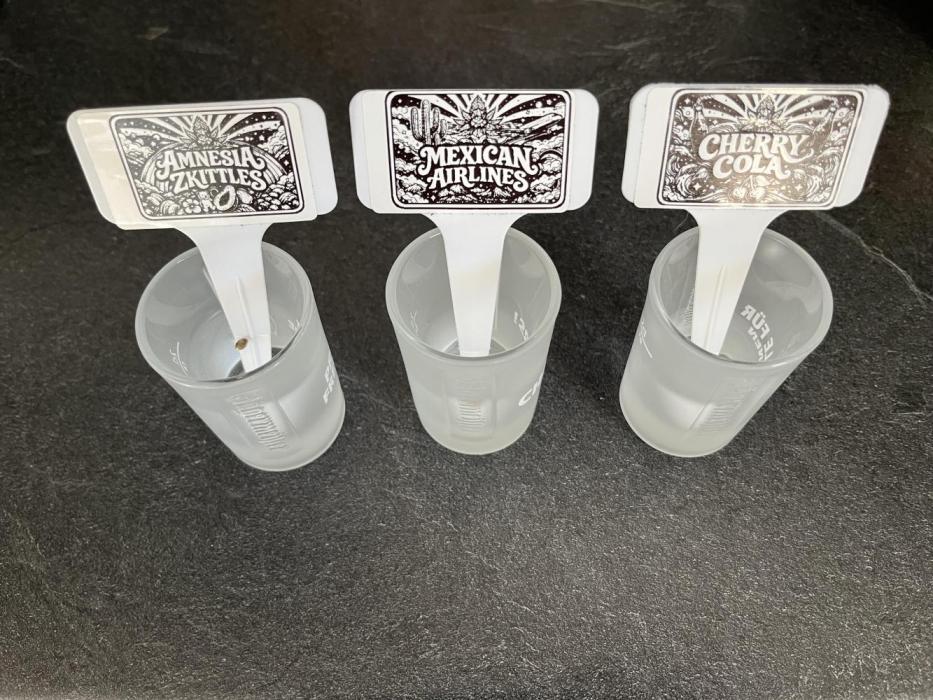 1/2026 - FastBuds. Week 0