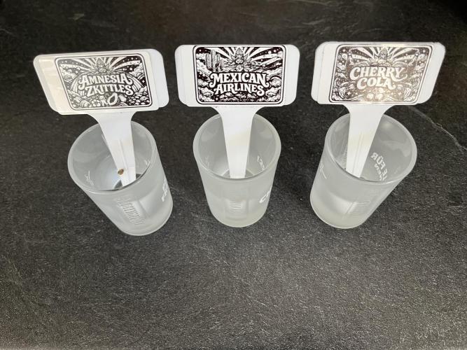 FastBuds Auto Grow 01/2026. Week 0 - Sammeln im Wasser am 18.01