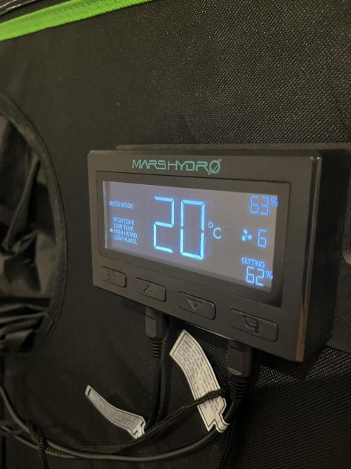 FastBuds Auto Grow 01/2026. Week 10
