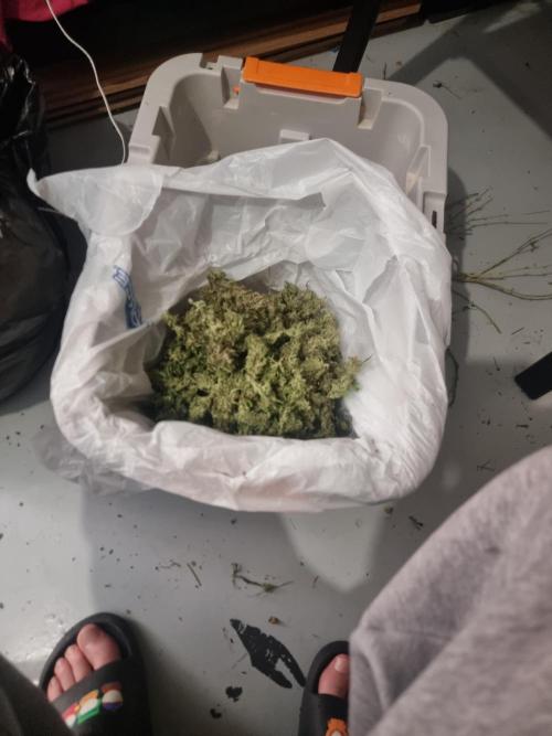 Did i get clones with HpLVD. Week 10