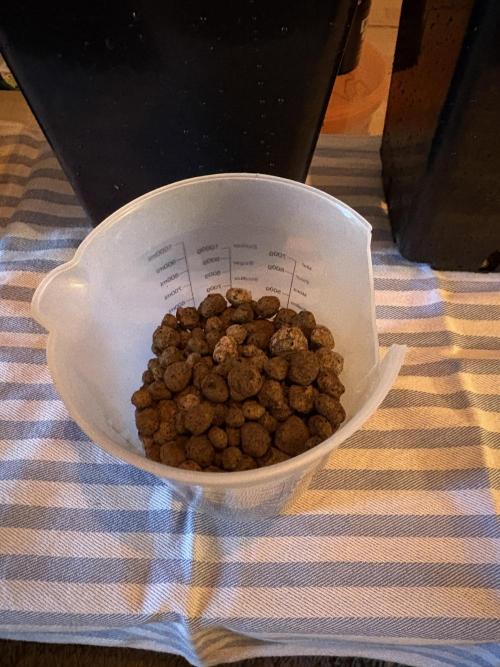 1 Purple Sunset     2 Shinigami. Week 2