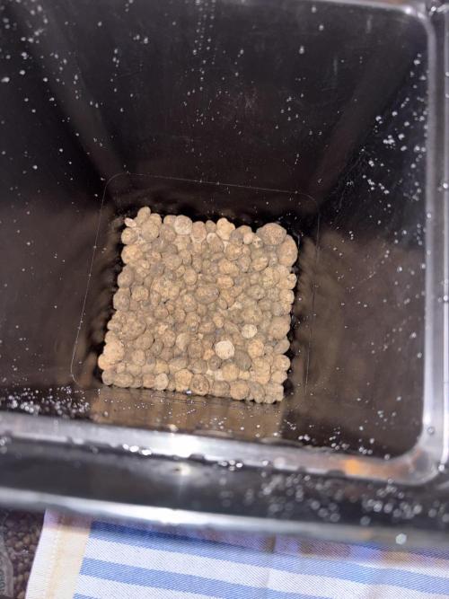 1 Purple Sunset     2 Shinigami. Week 2