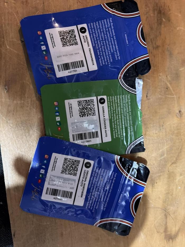 1st indoor grow. Week 0 - Just started to germinate last night