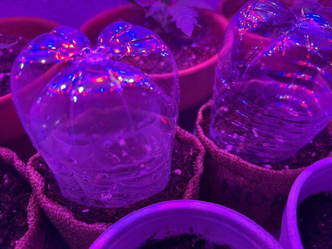 Jamain. Week 0 - Day 1