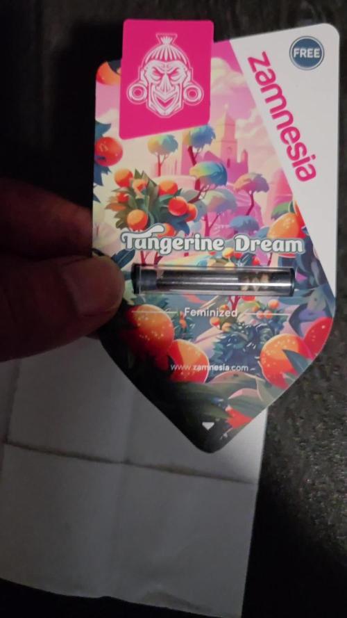 2x Tangerine dream