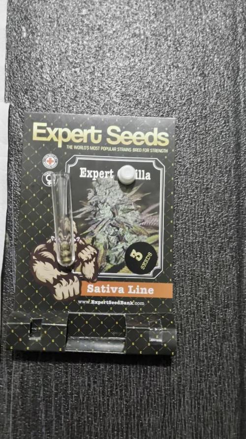 Expert Gorilla aka Gorilla Glue nr4