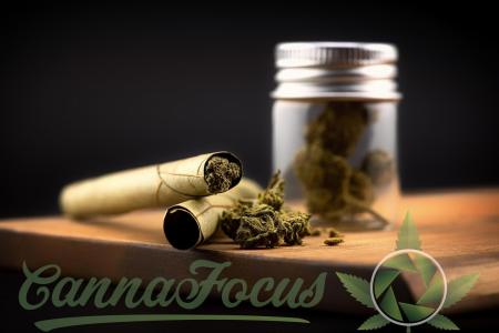 Comment by cannafocus photo #1