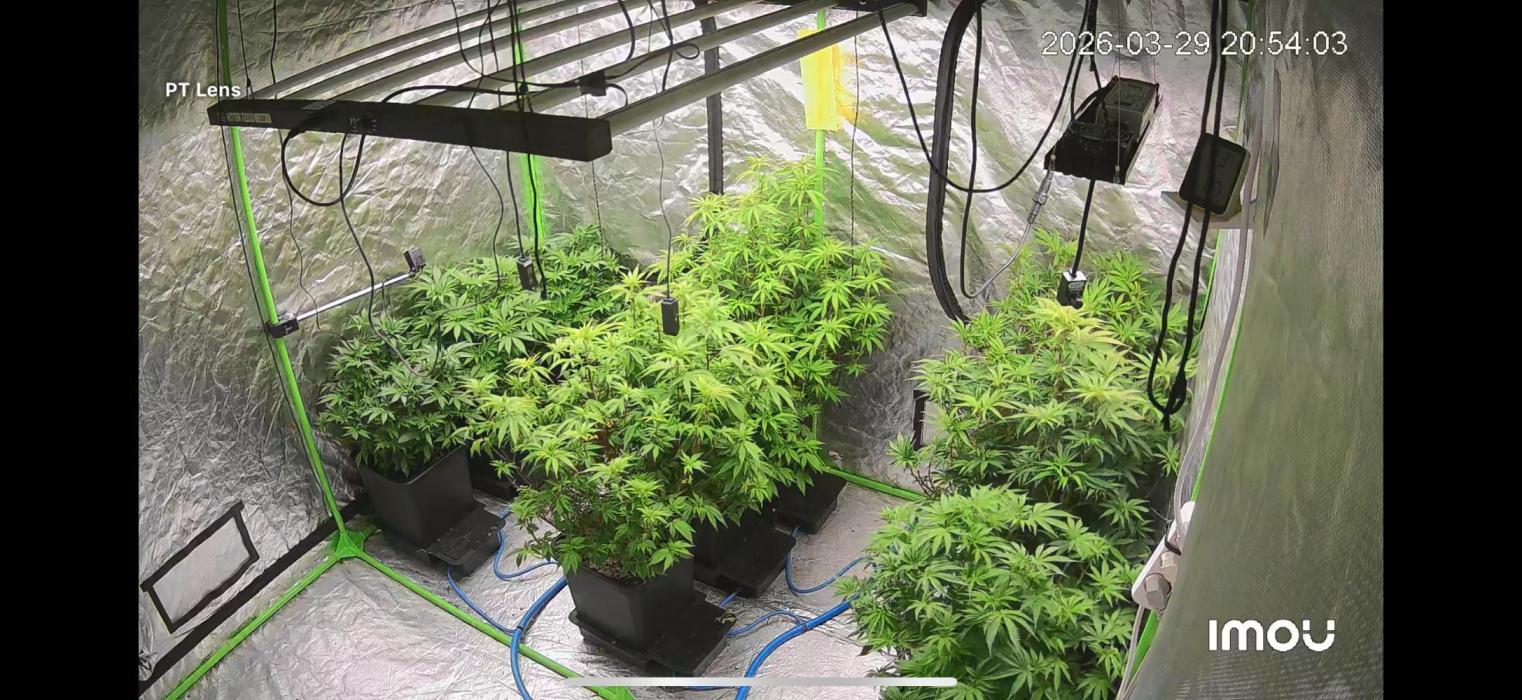 Auto pod System 1 Run. Week 10