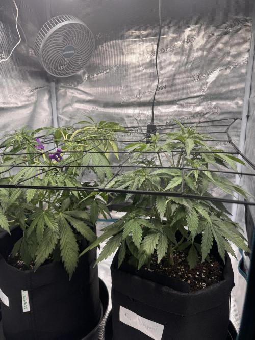Erstmal. Week 6