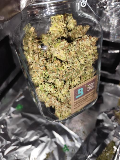 Las Morras (bio organic). Week 13