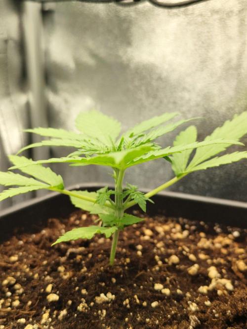 HS40. Week 1