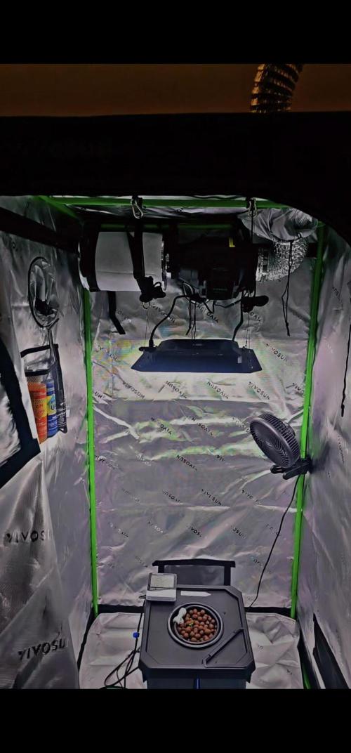 First Grow. Week 2 - Setup - inside temp at 22C 