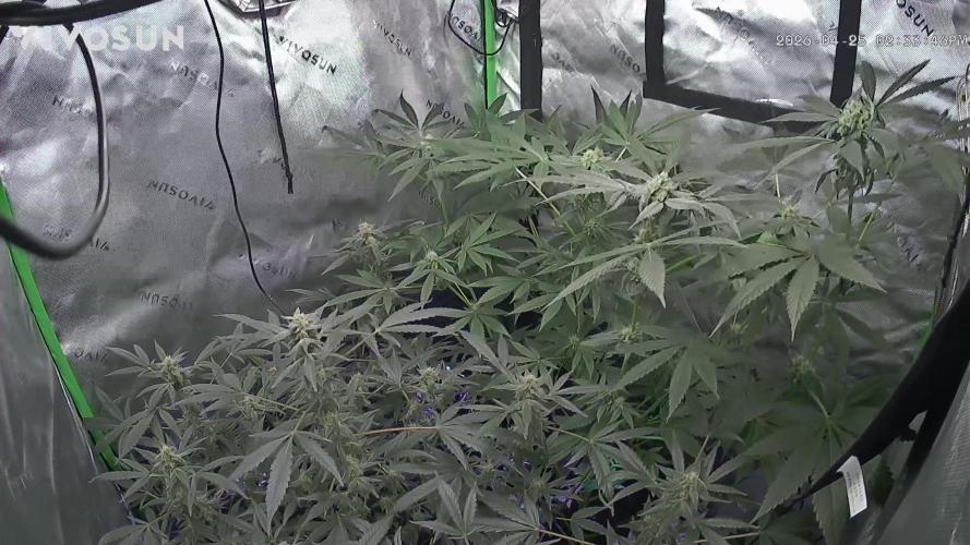 K0KA420