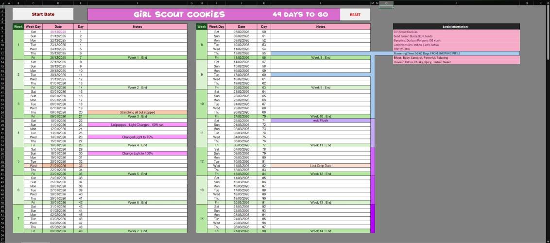 My Secret Garden - GSC. Week 5