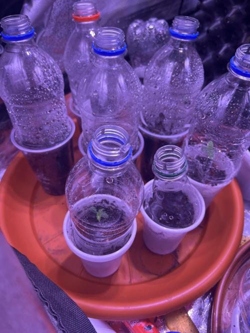 FAST FAST SOG Project. Week 0