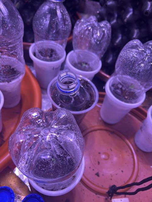 FAST FAST SOG Project. Week 0