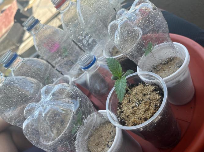 FAST FAST SOG Project. Week 1