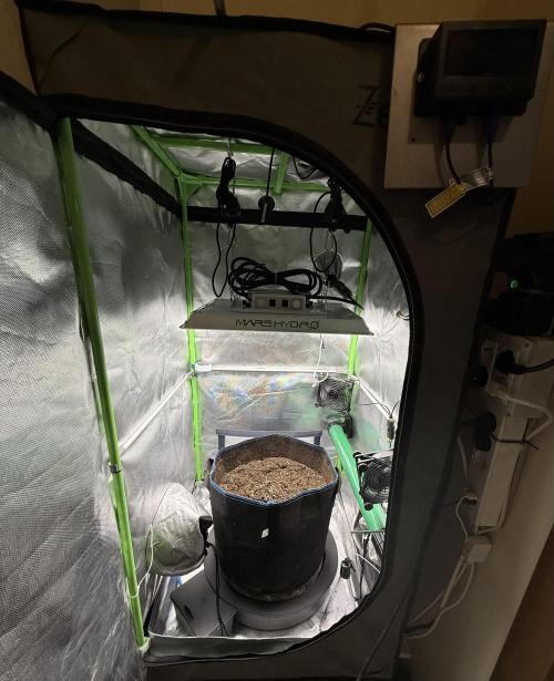 La Taverna Dell'Arte. Week 0