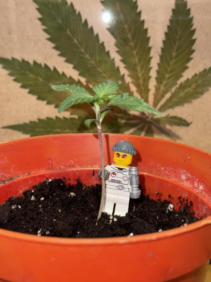 Space Walk. Week 1