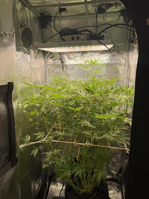 Space Walk. Week 8