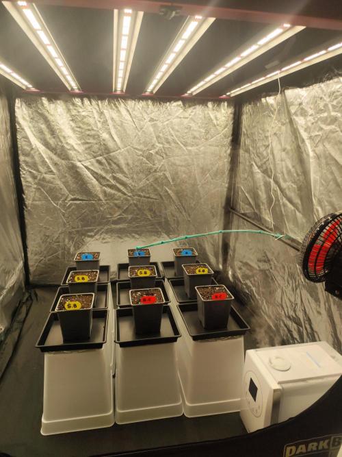 Plantulitas ZSB. Week 0 - Set up 