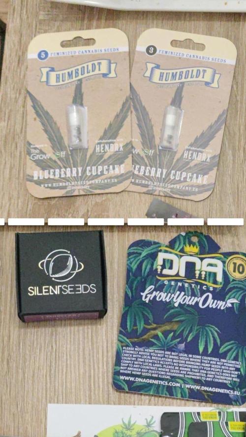 Plantulitas ZSB. Week 0