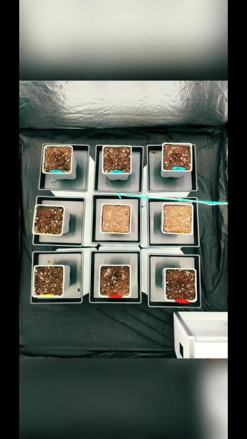 18.01.2026/14.02.22026