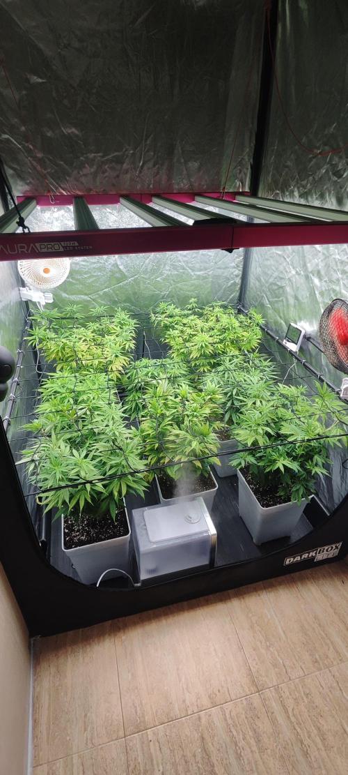Plantulitas ZSB🌱. Week 8 - 28.03.2026