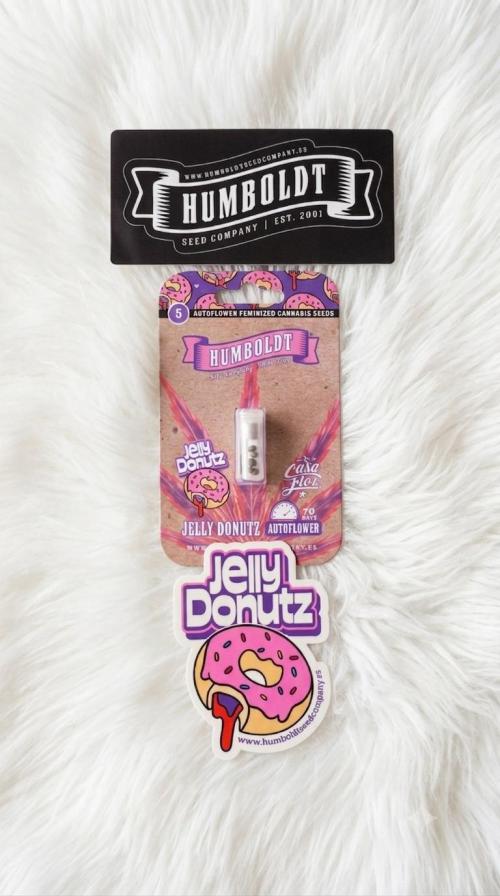 Jelly Donutz Auto 🍩. Week 0 - 07.06.2026 - Jelly Donutz Auto 