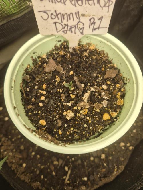 Keeper Hunt. Week 0 - Ethos
Johnny Dang R1
