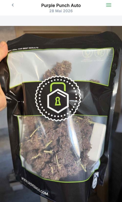 VoGrow‘s Autoflower Grow. Week 12 - 100g GroveBag. Let‘s Cure!!!