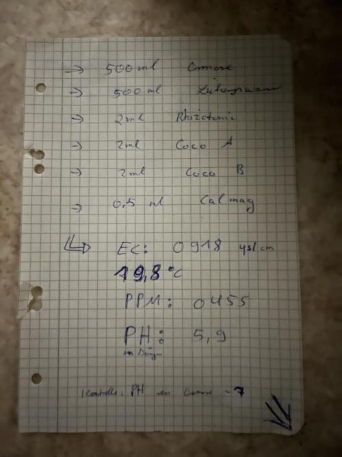 Erster RQS Grow - 01/26. Week 2 - 05.02.26:
Das erste mal mineralisch gedüngt mit Canna.