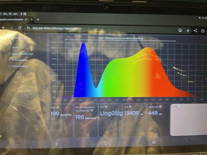 Erster RQS Grow - 01/26. Week 1 - Messung 2/2