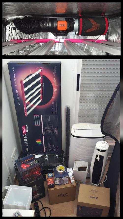 1rst grow. Week 0 - Lets gooo