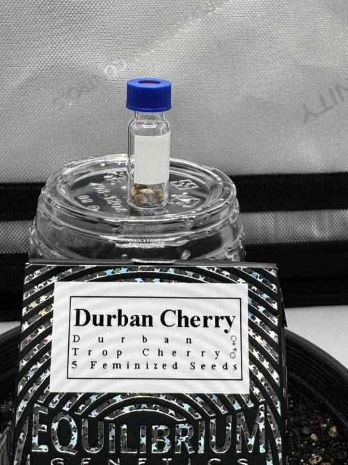 First run of 2026. Week 0 - First time trying these. 